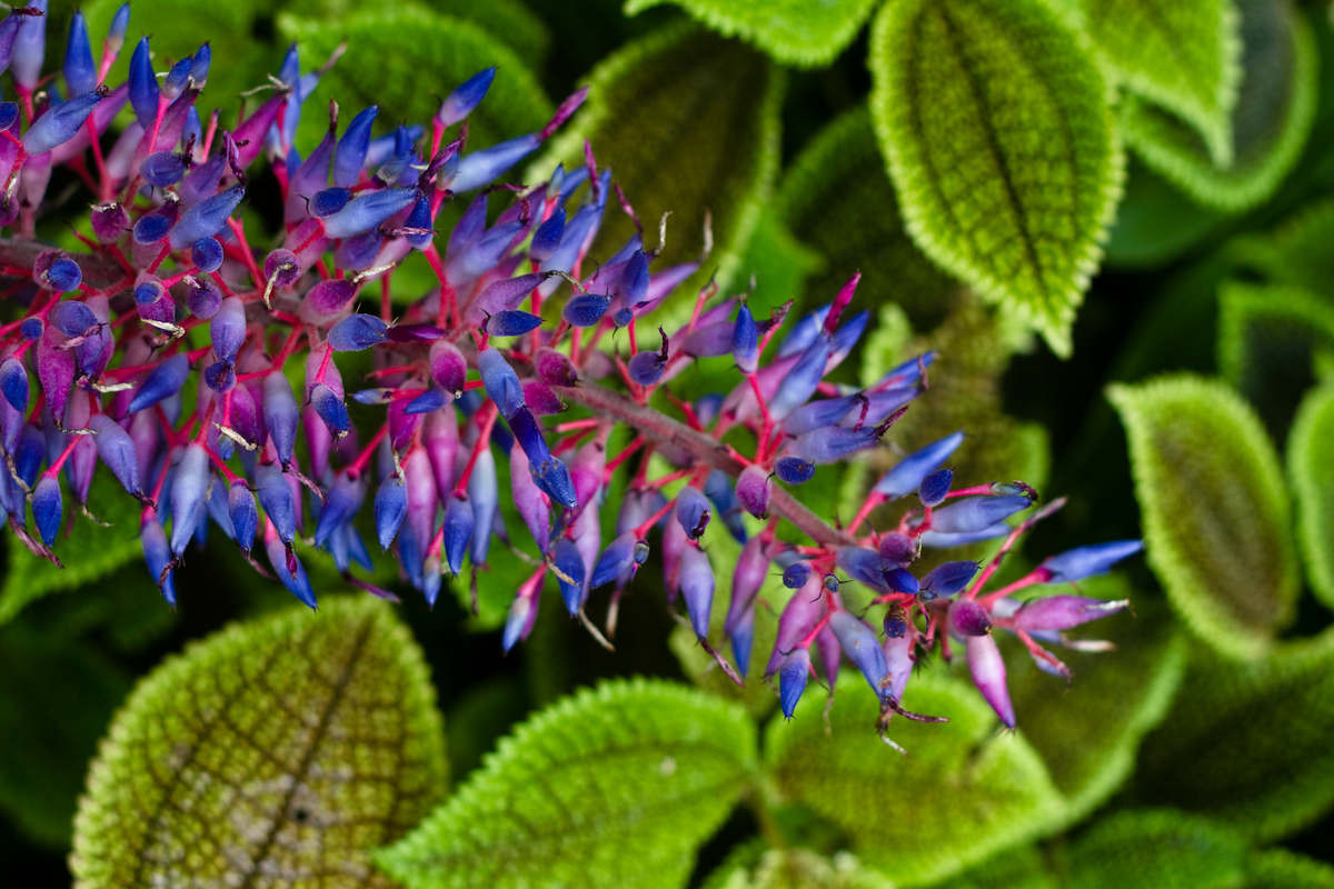 20110527_7D_GNT_3665.jpg