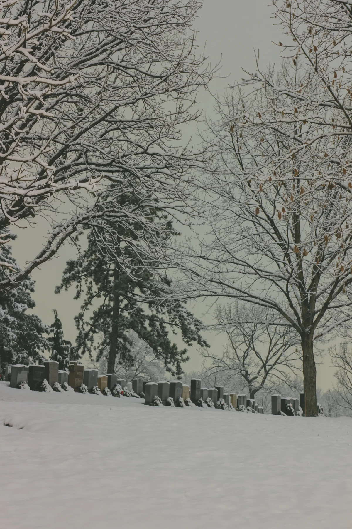 snow-29.jpg