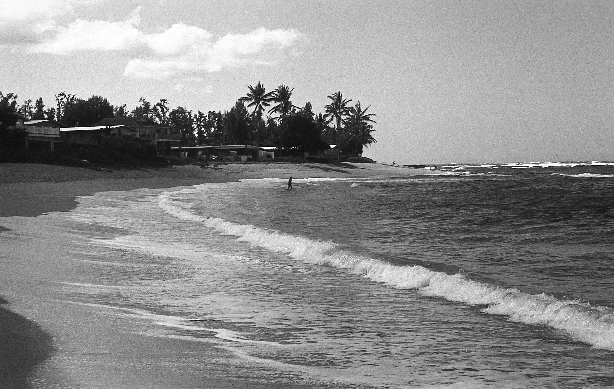 Pentax-Lastroll2013-023.jpg