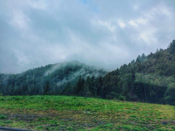 Driving north to Ferndale