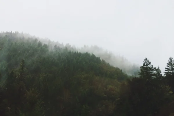 Along U.S. Highway 101 in Humboldt County