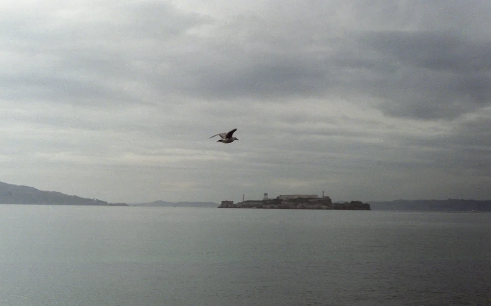 IMG016.jpg