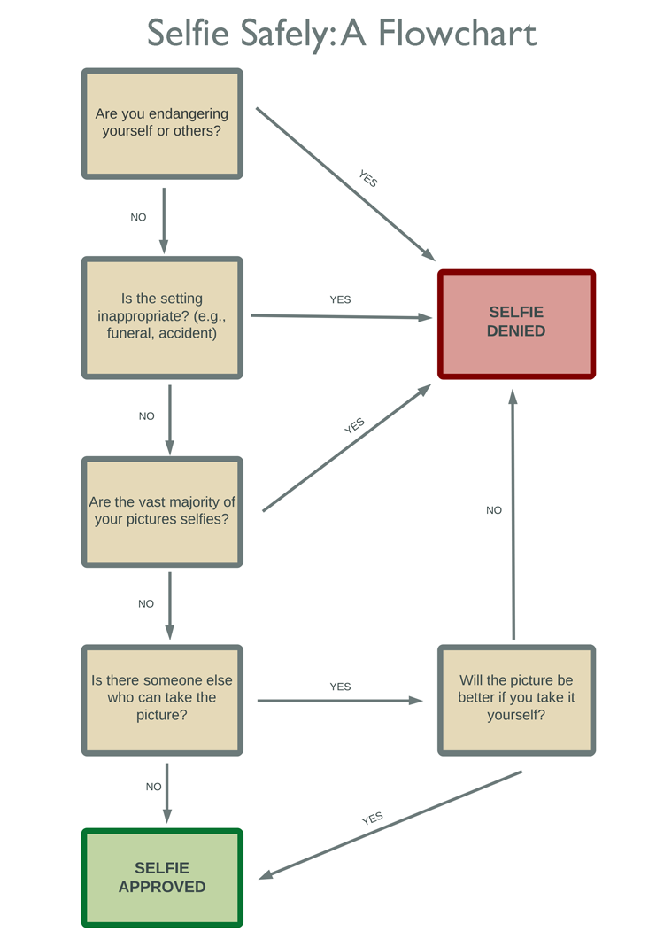 SelfieSafelyFlowchart.png