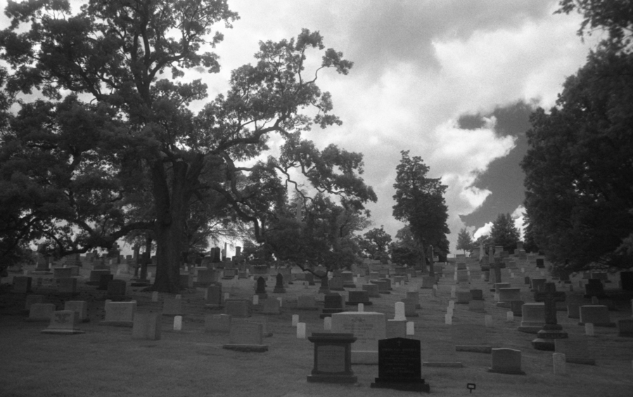 With IR720 filter. 