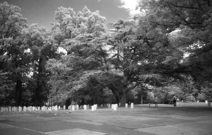 With IR720 filter. 