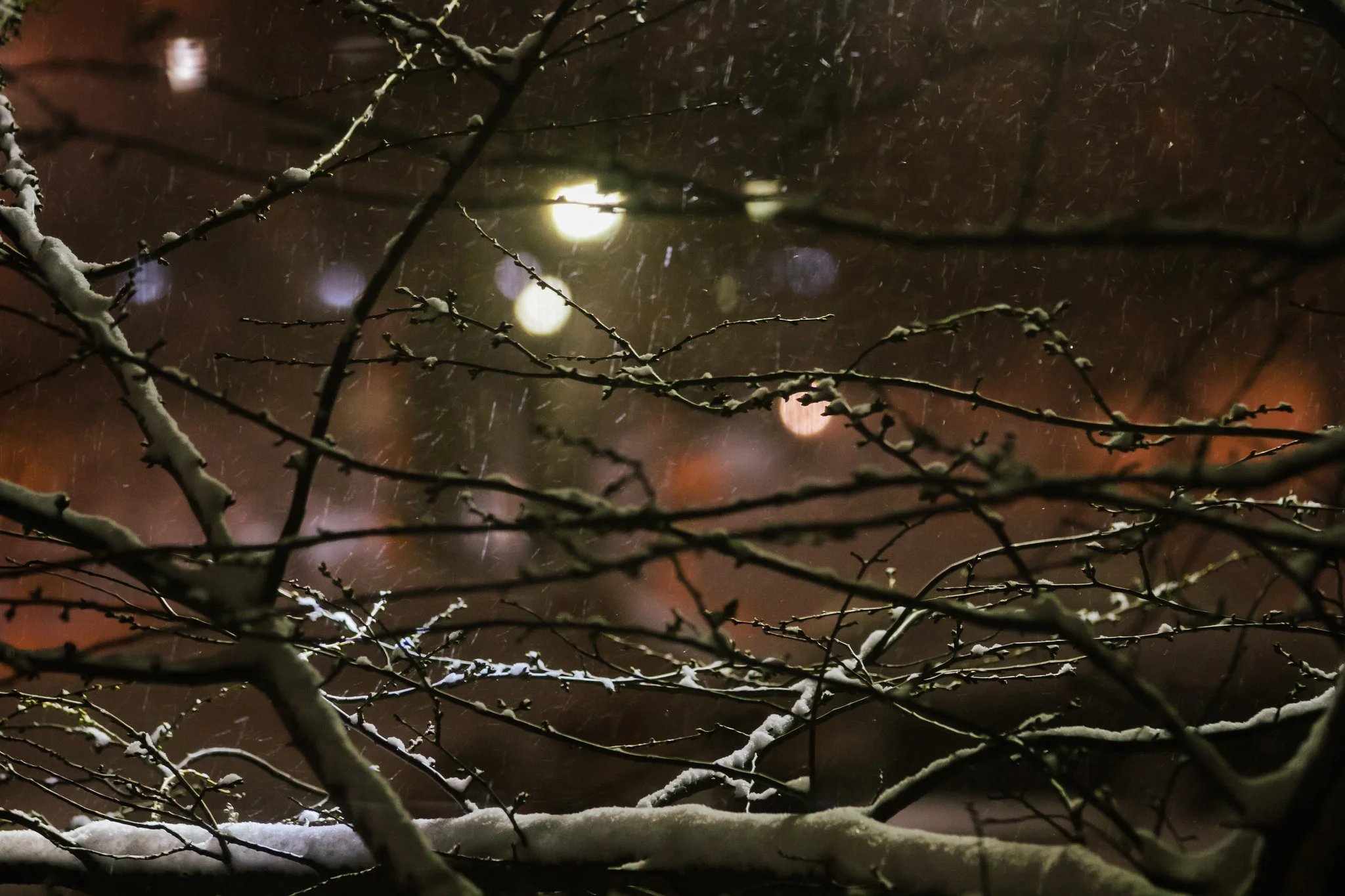 Flickr Explore