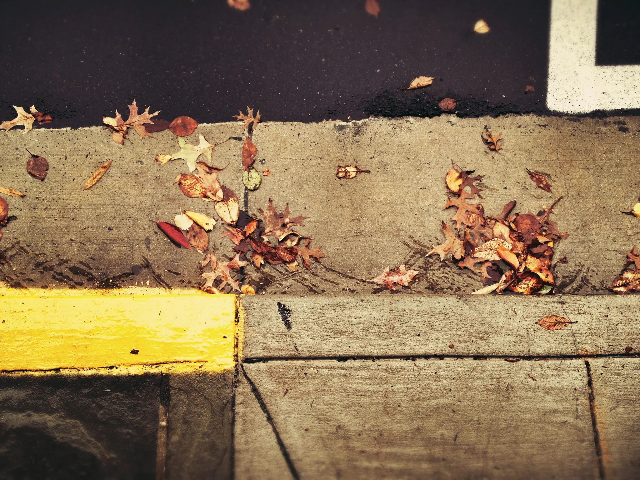 DCist Photo of the Day