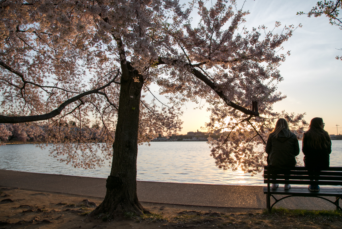 MarchSunrise-059.jpg