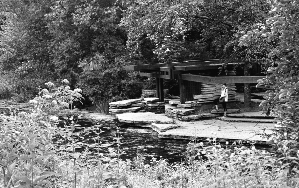 Alfred Caldwell Lily Pool Kodak Tri-X 400