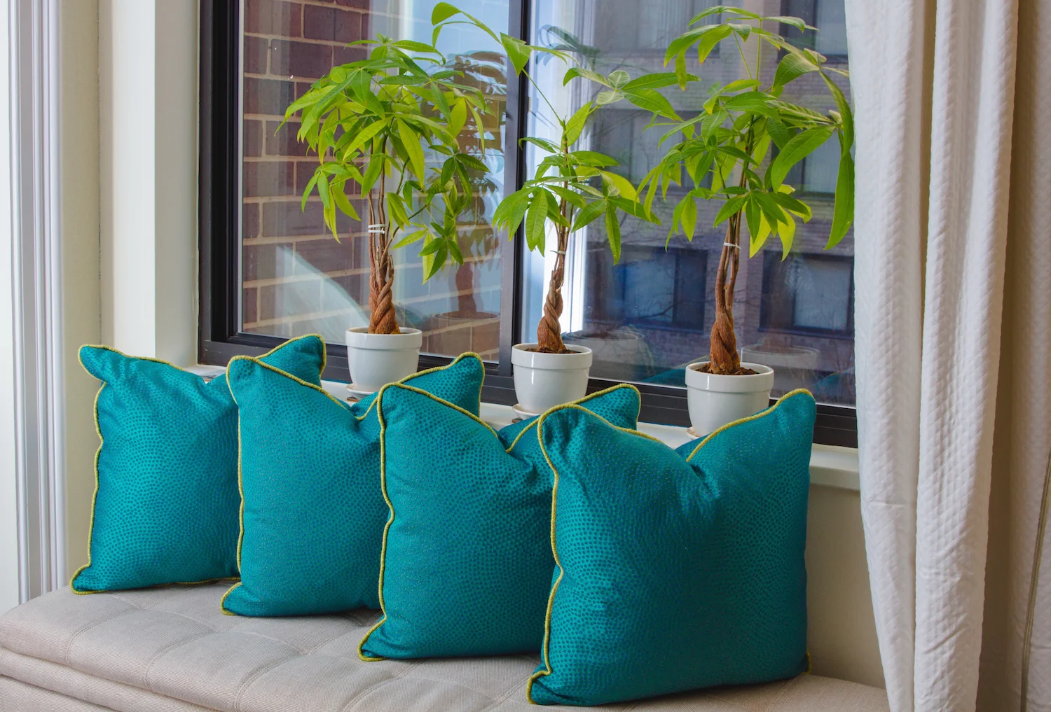 ChelleAlbert-Pillow--46.jpg