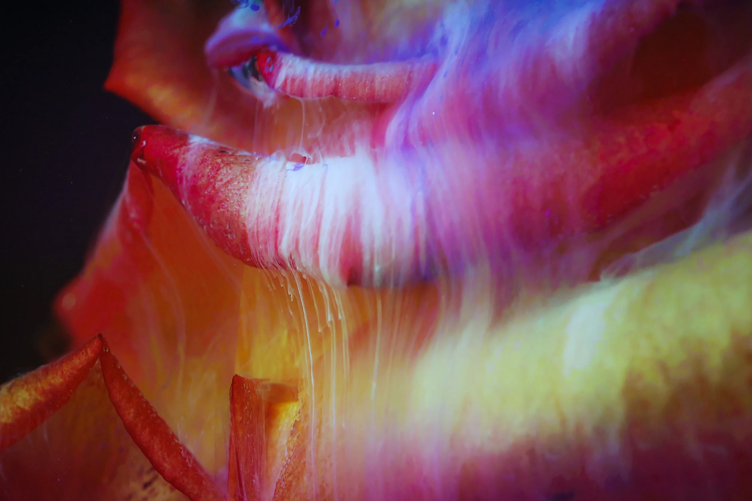 KingdomOfColors-19.jpg