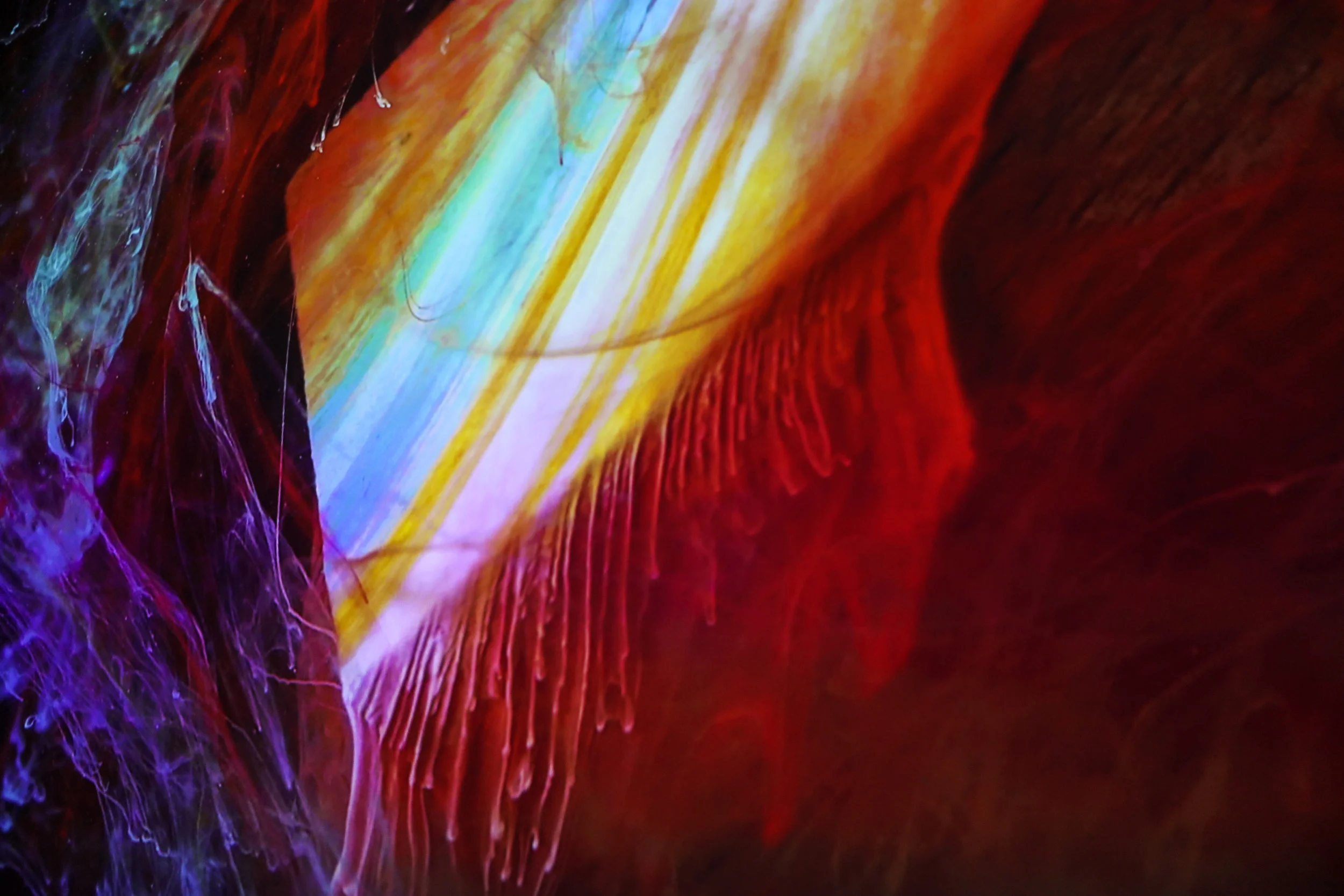 KingdomOfColors-02.jpg