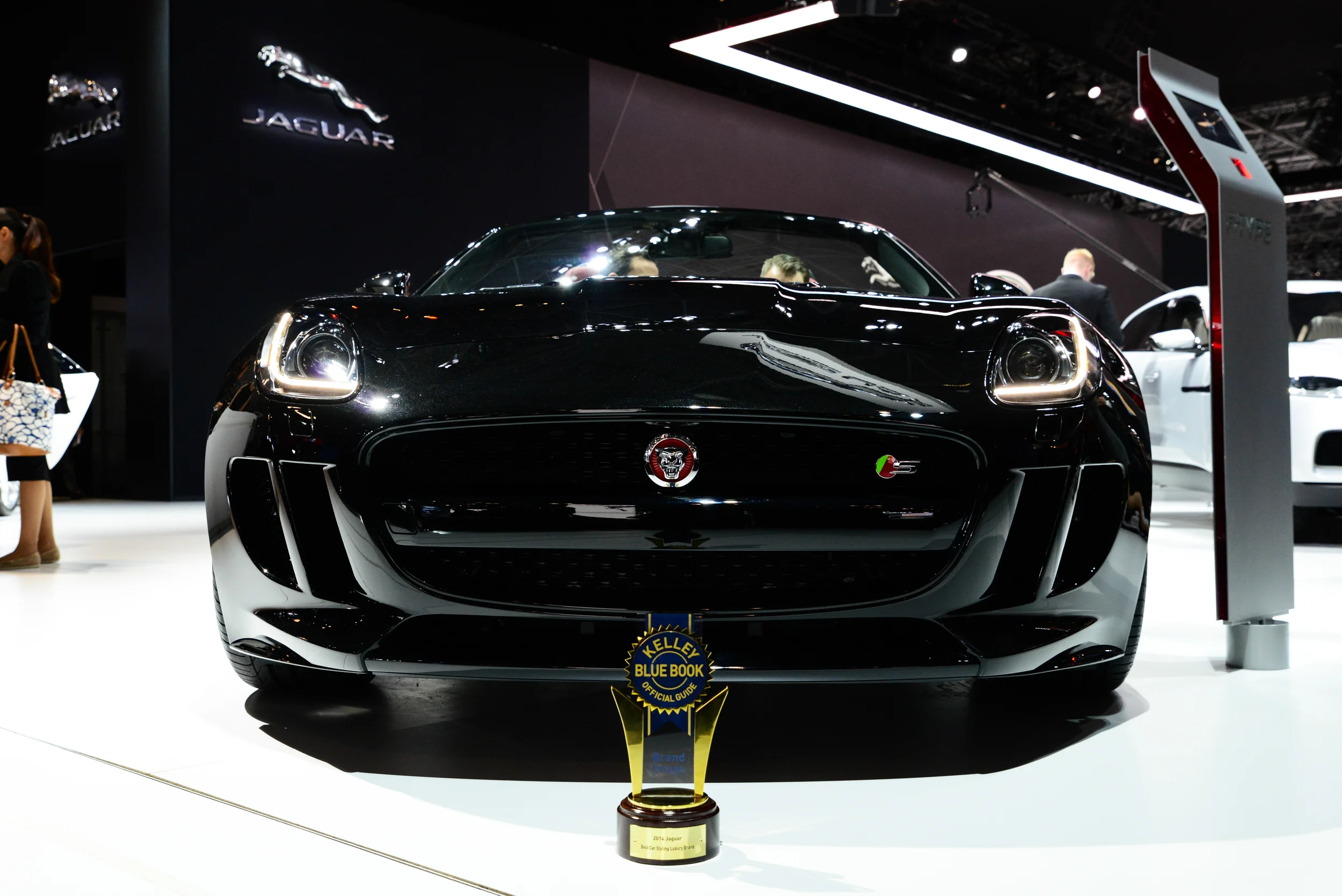 DSC_6237.jpg