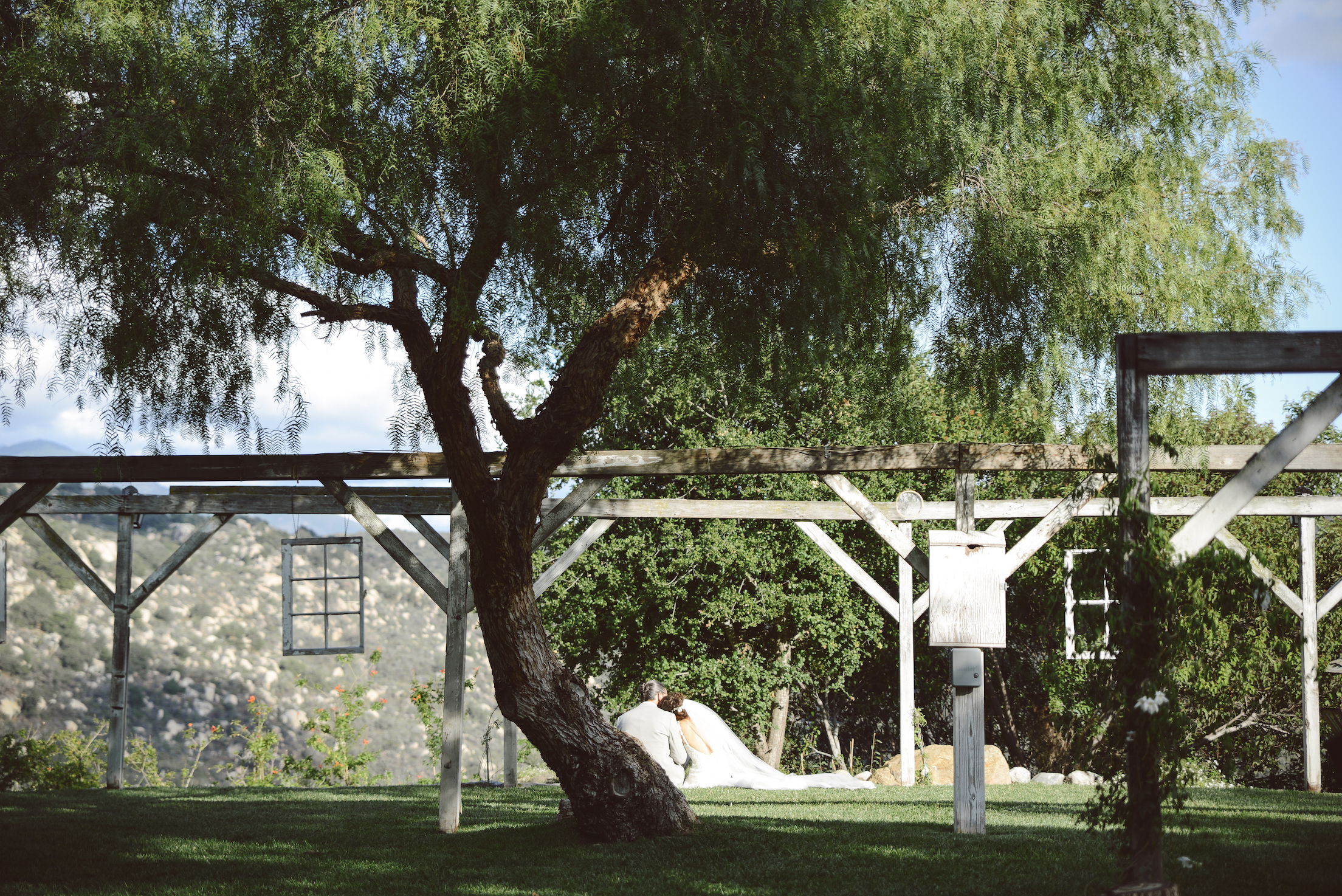 DSC_7295-2.jpeg