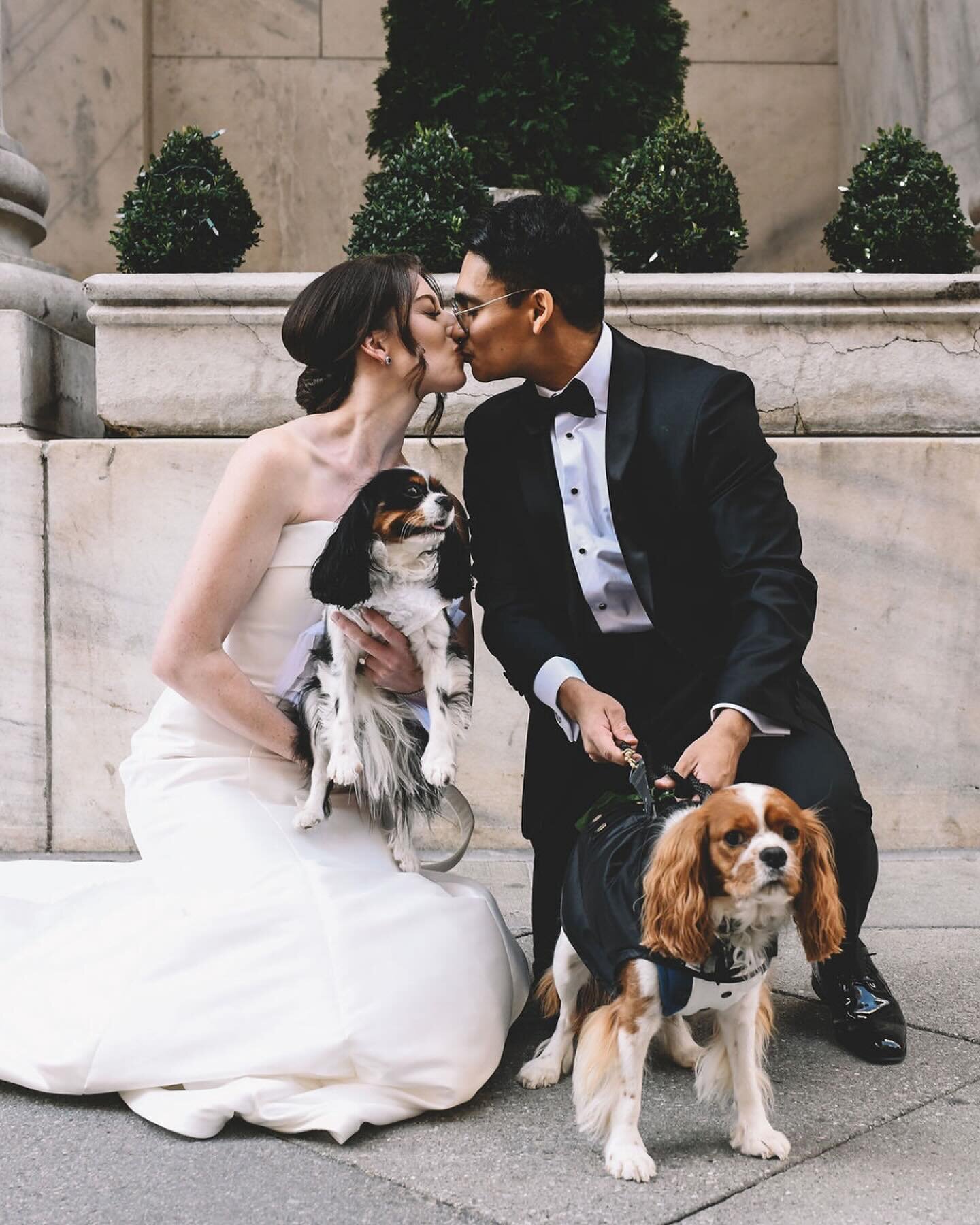 Puppy Love 
.
.
.
.
#robertcarlonewyork #nyc #nationalpuppyday #nycwedding #nycweddingphotographer #nycweddingphotography #nycbride #nycdogs #engagednyc #weddingvenue #weddingdress #tuxedo #love #happy #kiss #philly #phillywedding #cheers