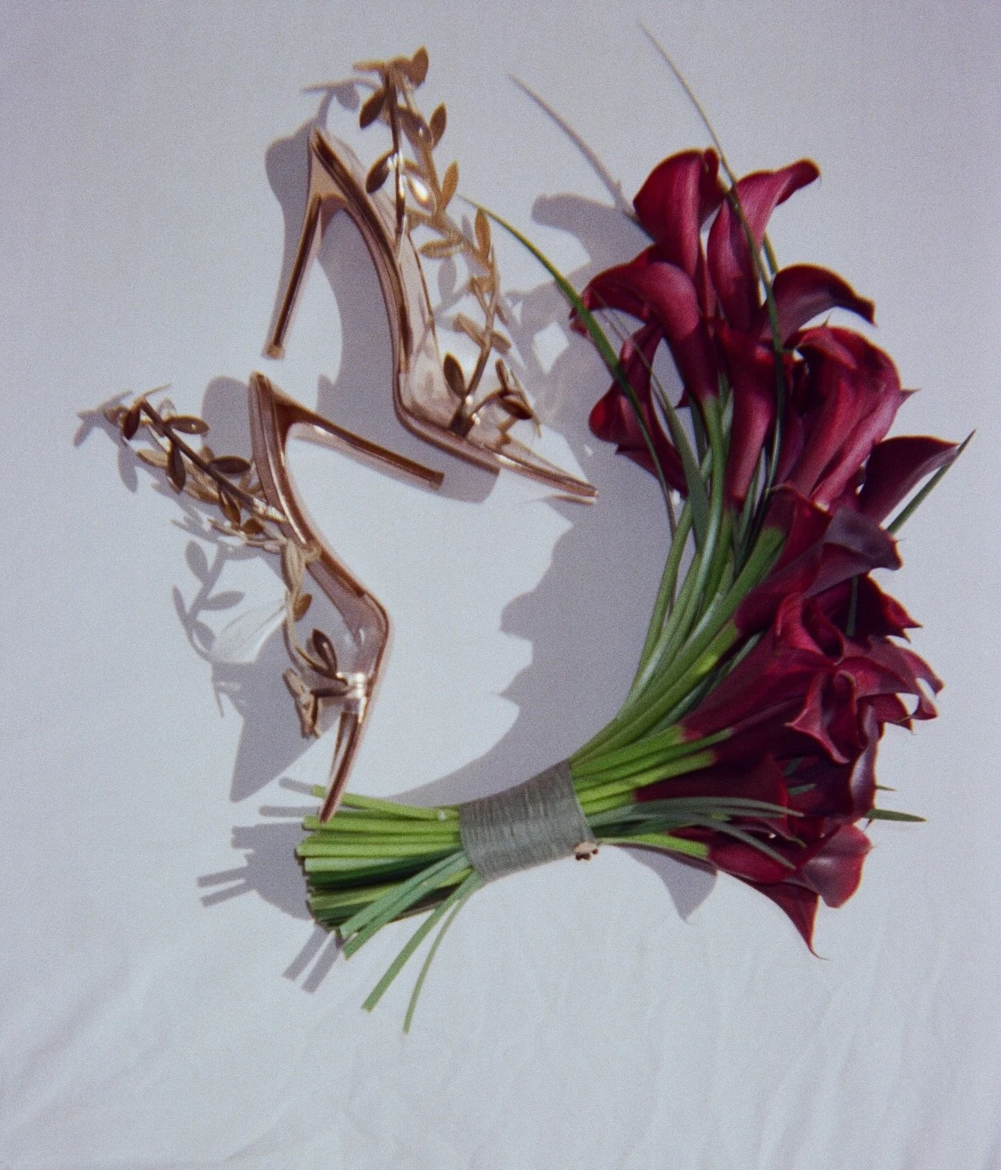 Wildflowers &amp; Wine 
.
.
.
.
#robertcarlonewyork #nyc #nycwedding #nycweddingphotographer #flowers #nycflorist #shoes #dancing #wine #love #film #filmphotography #cheers