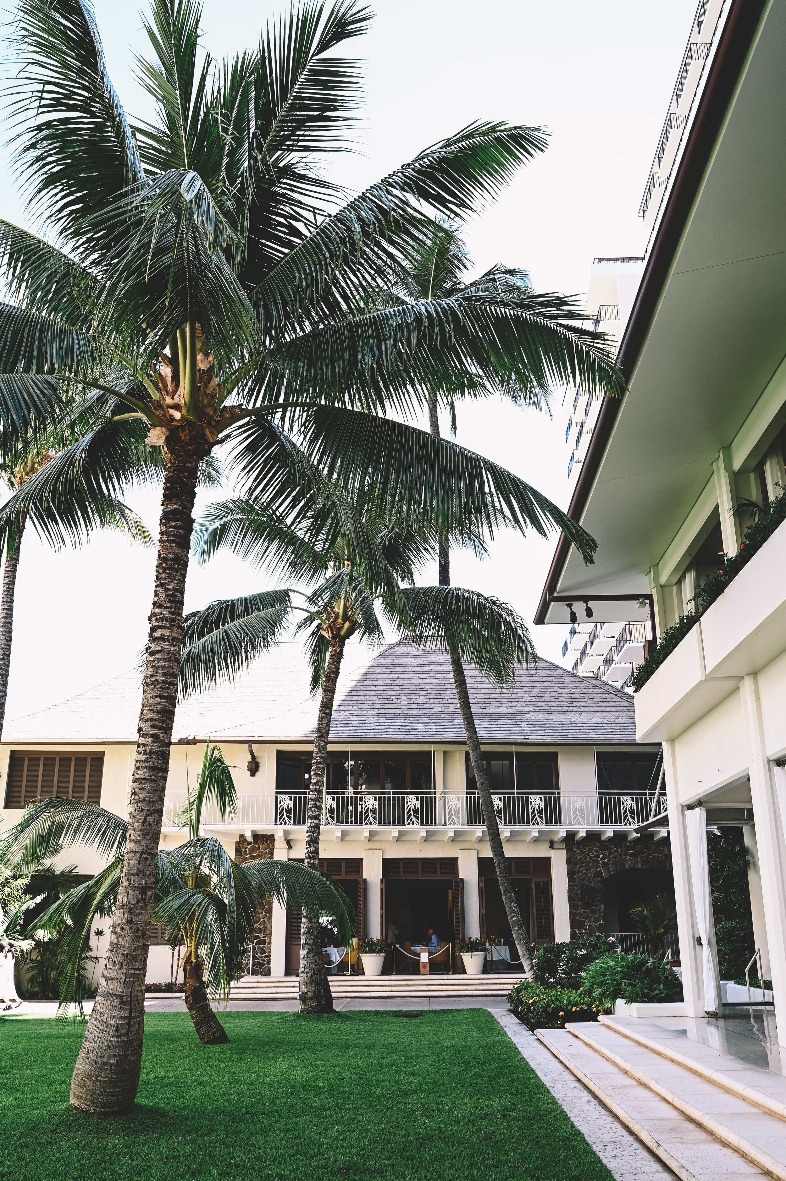 A view of a lush green courtyard with tall palm trees in front of a modern building with balconies, large windows, and outdoor seating, under a bright sky.