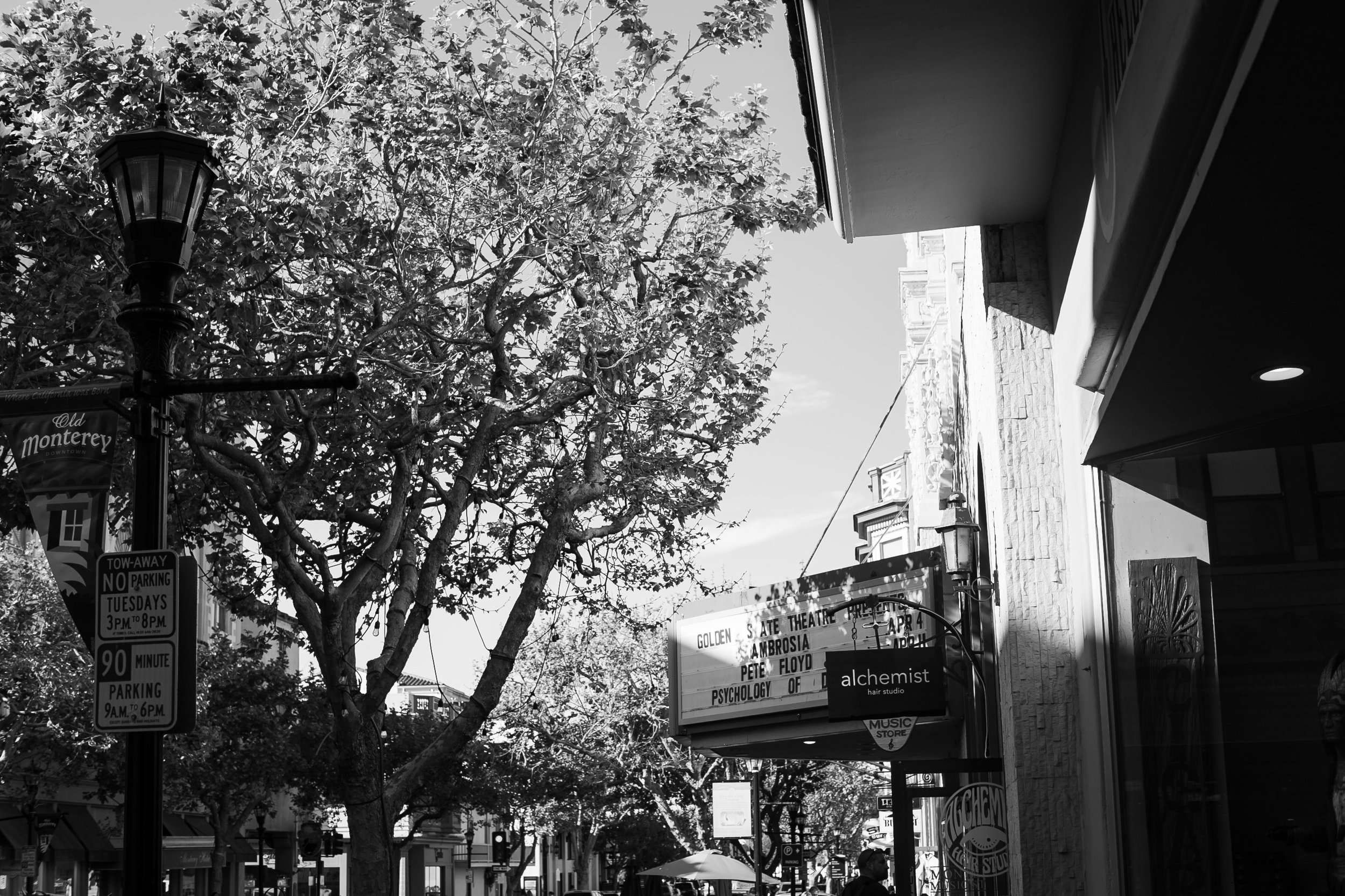 IMG_0701.jpeg