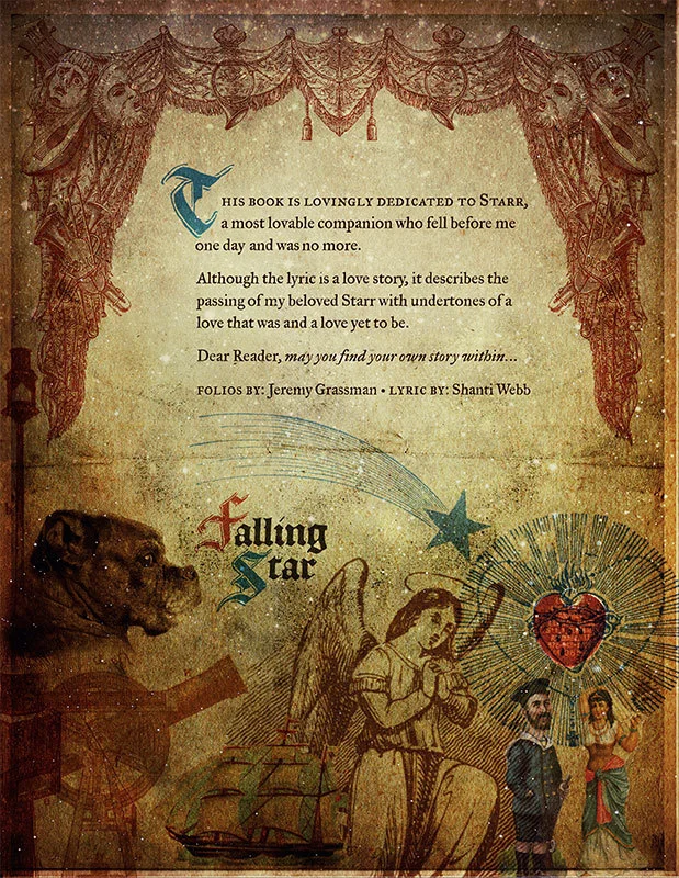 KAMARA_FallingStar_09.jpg