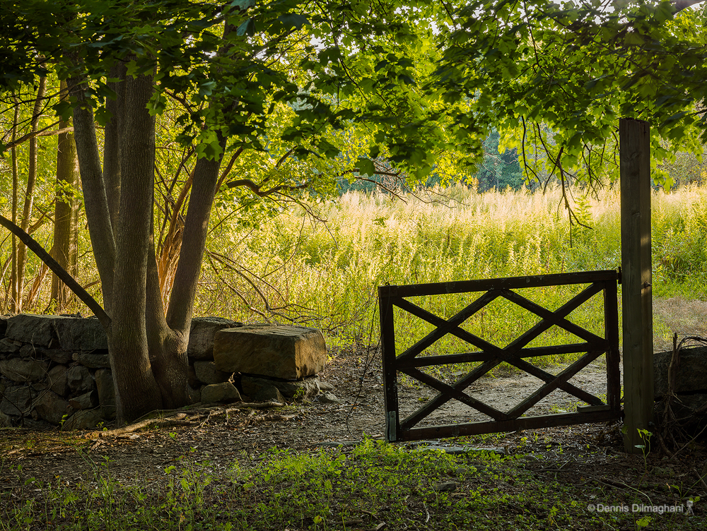 Gate and Stone Wall