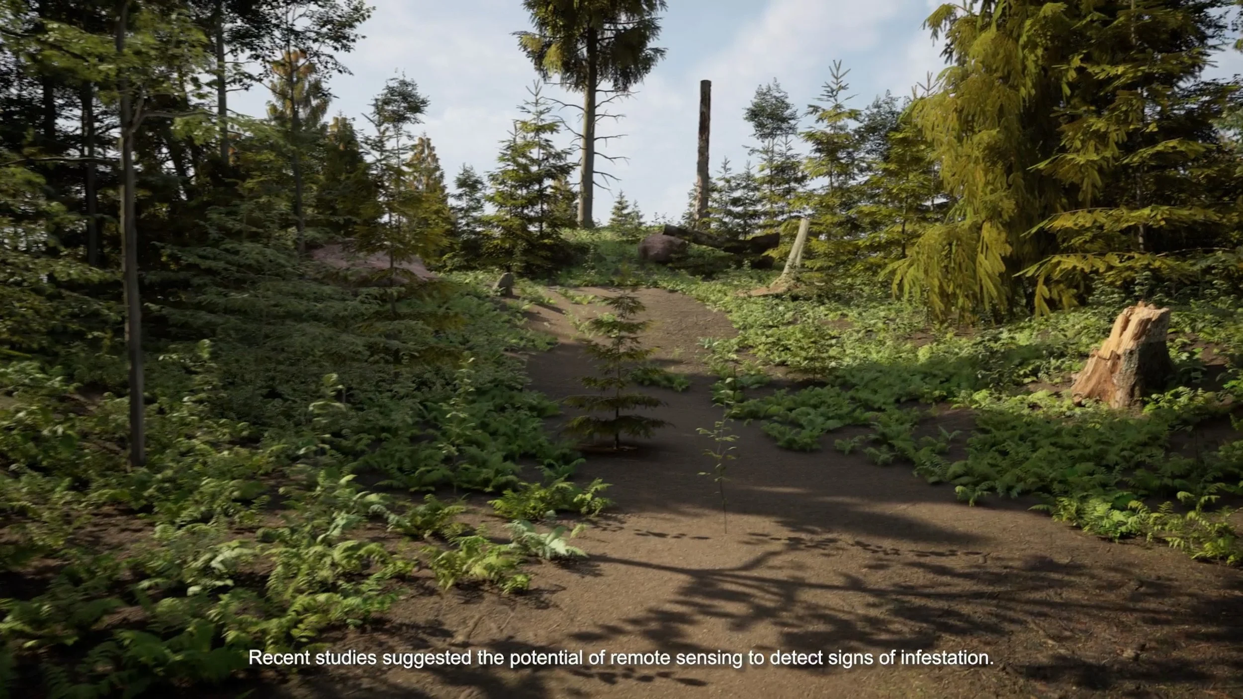 BetweenTwoTrees_202308_3.jpeg