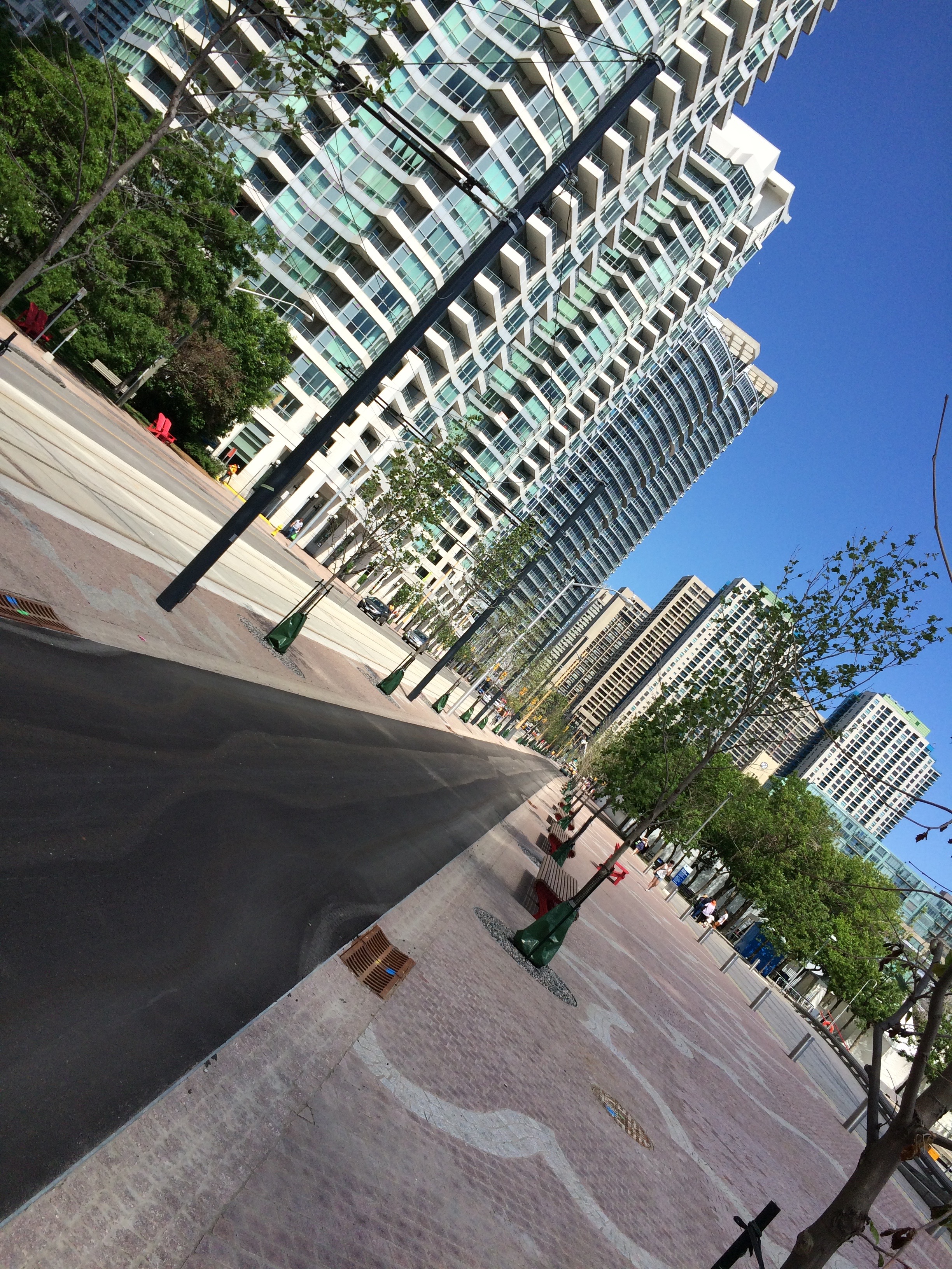 Queens Quay Bike Lane