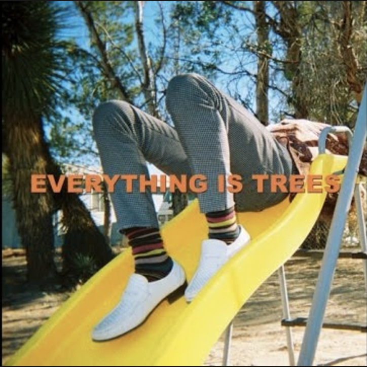 Wes Period - Everything is Trees (Electric Bass)