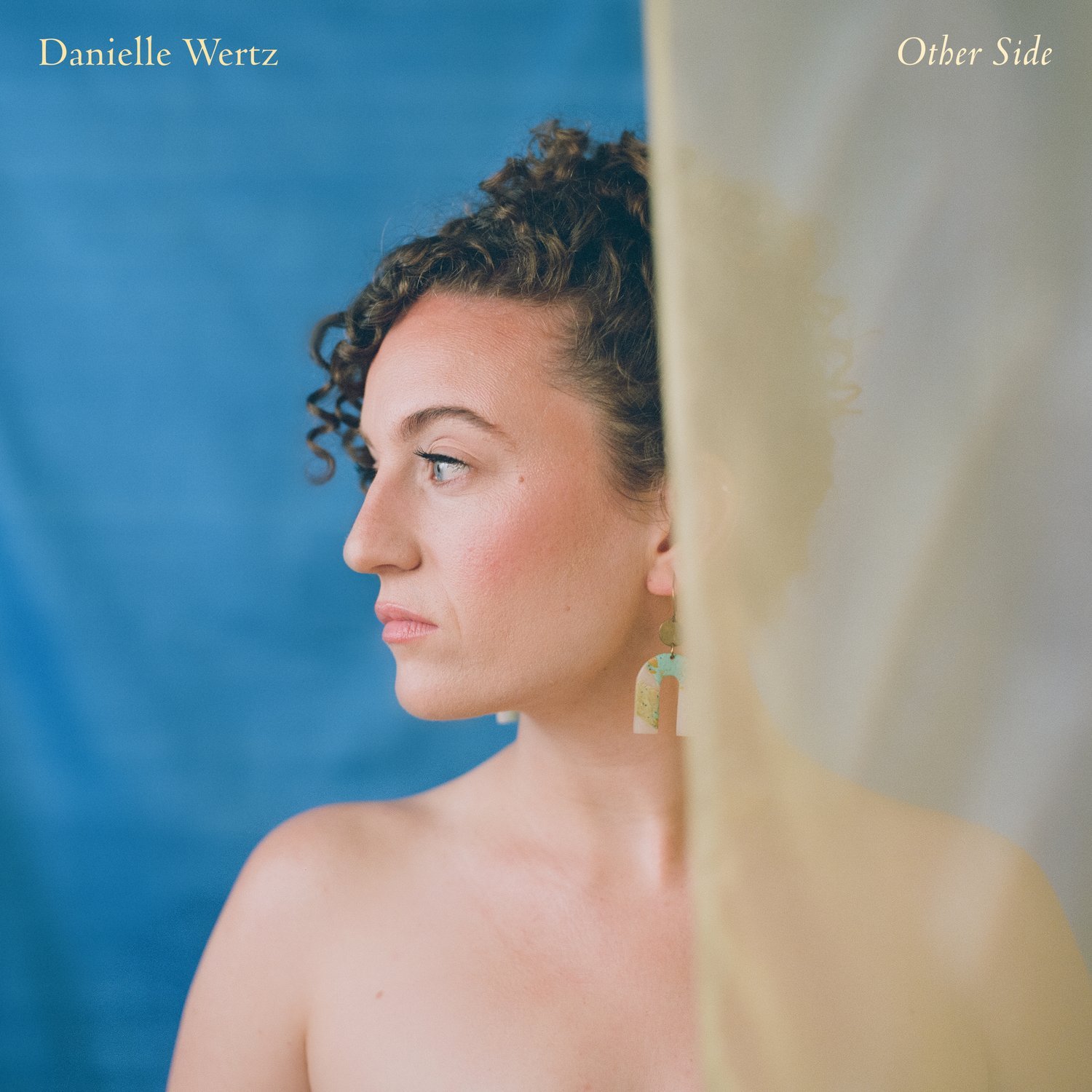 Danielle Wertz - Other Side (Upright Bass, Electric Bass)