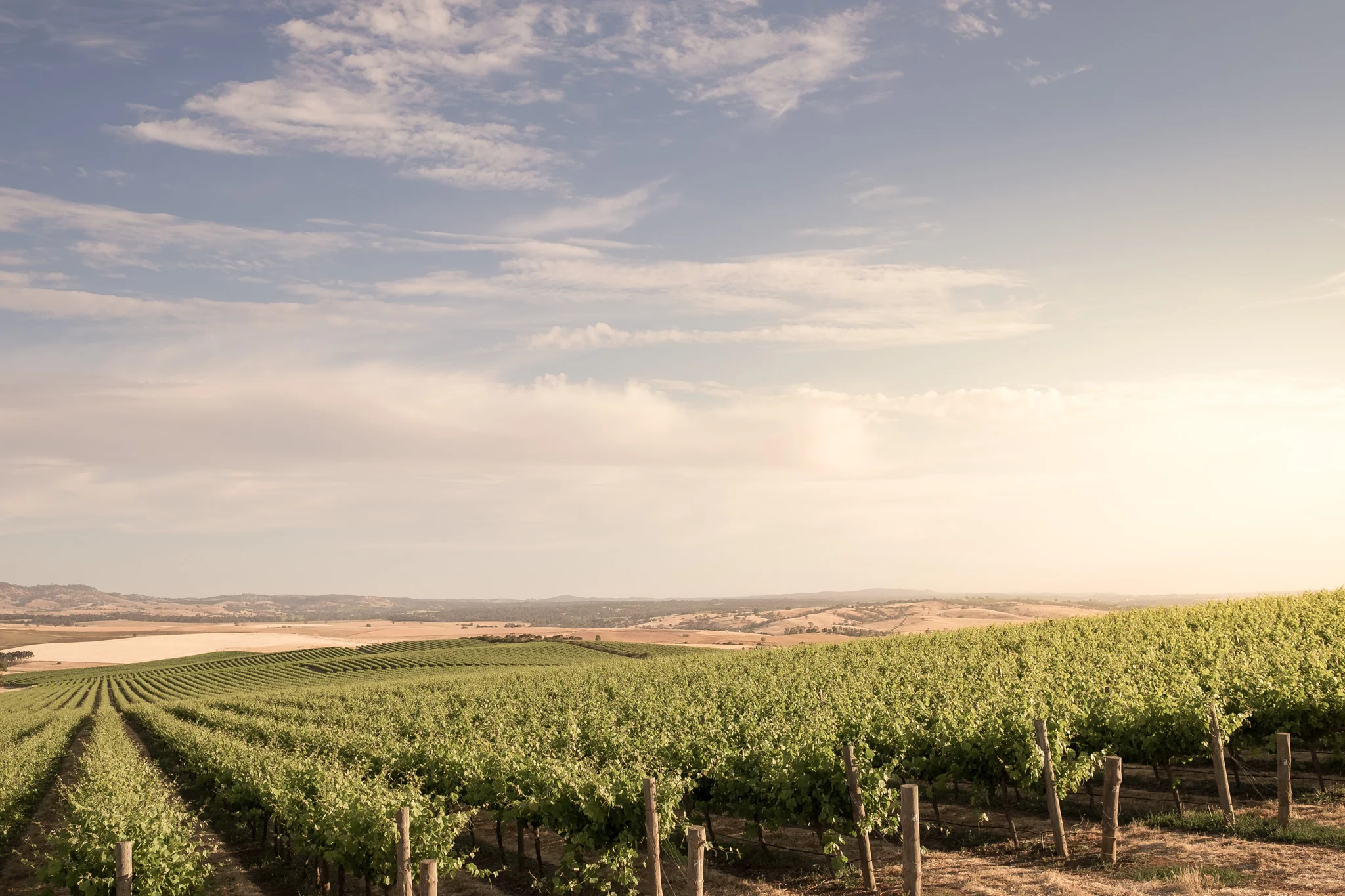 Pindarie Winery and Vineyards
