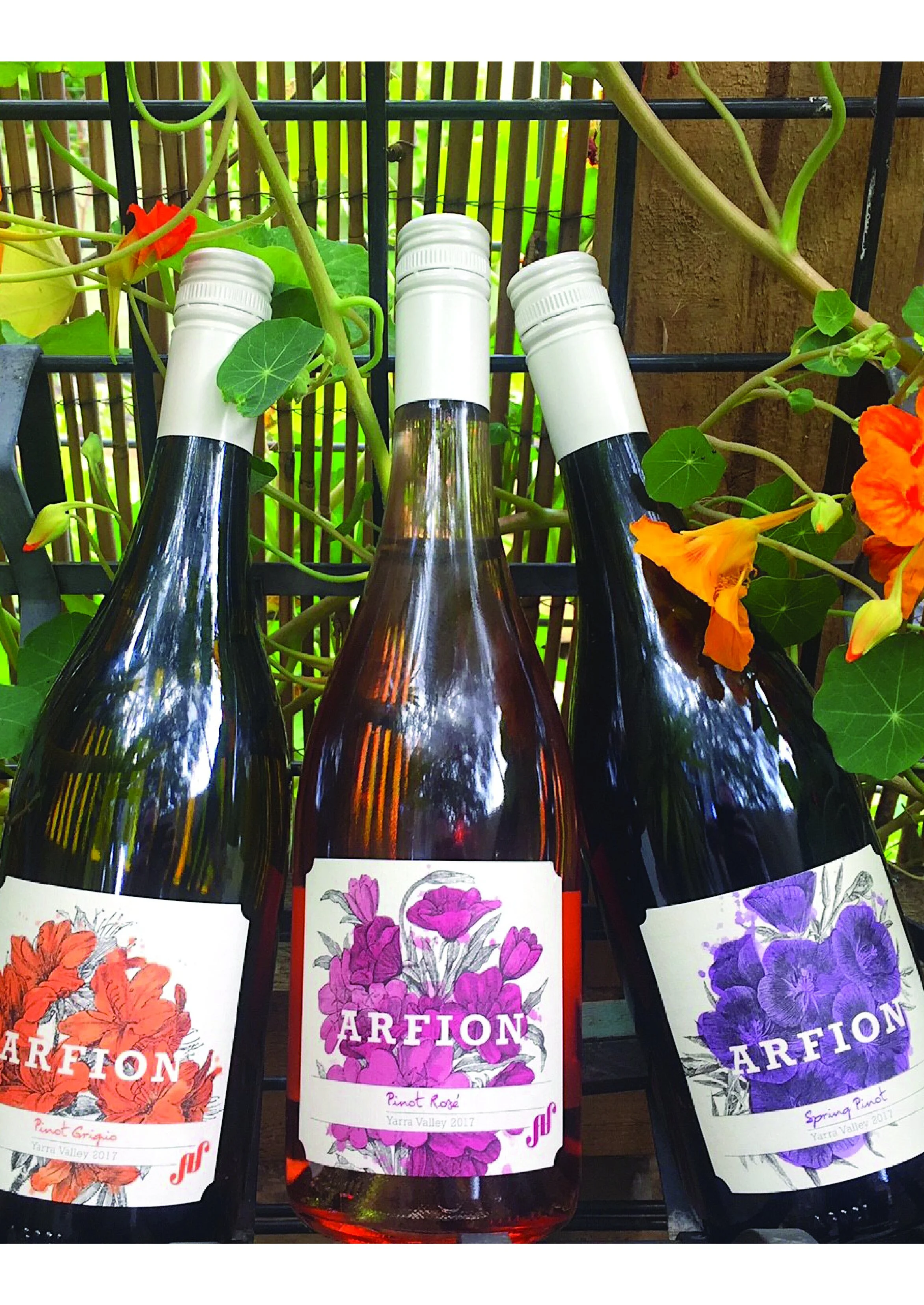 web site arfion-01-01-01.jpg