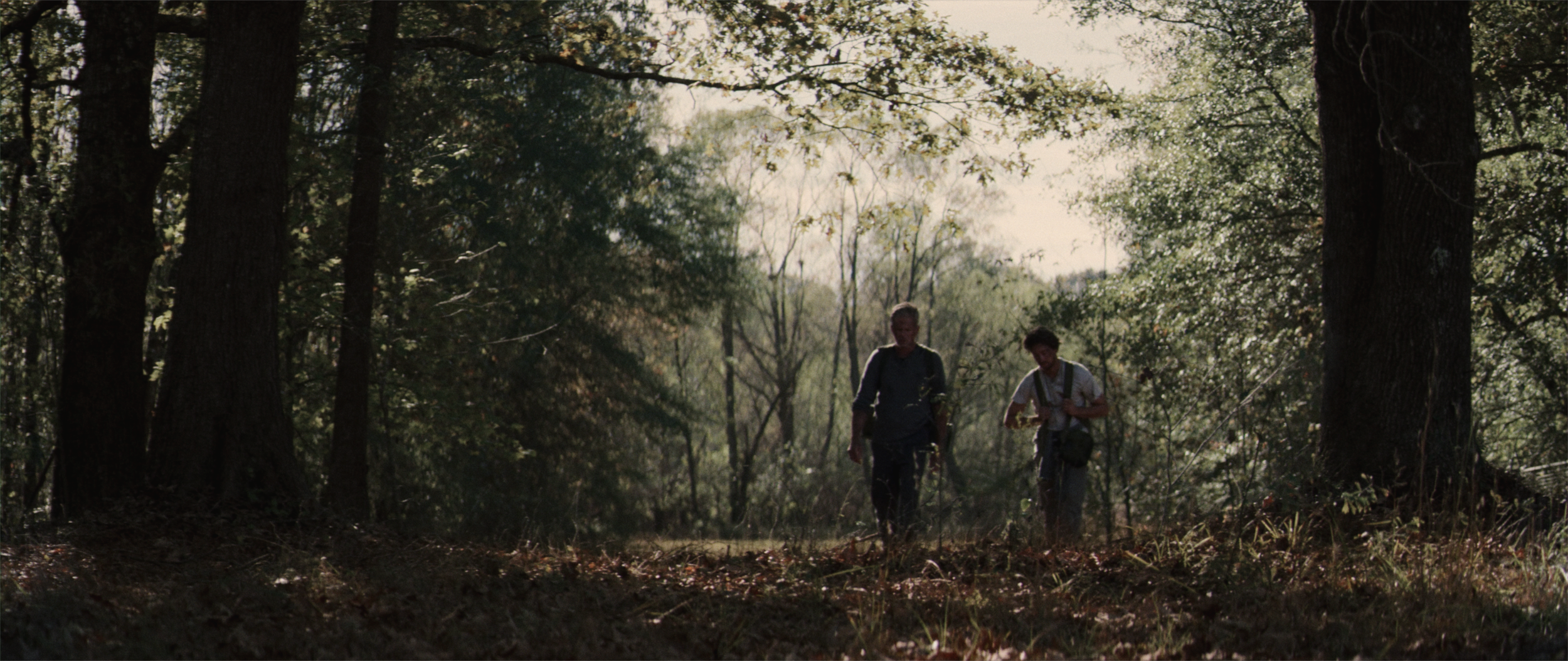 Two Trees_2.png