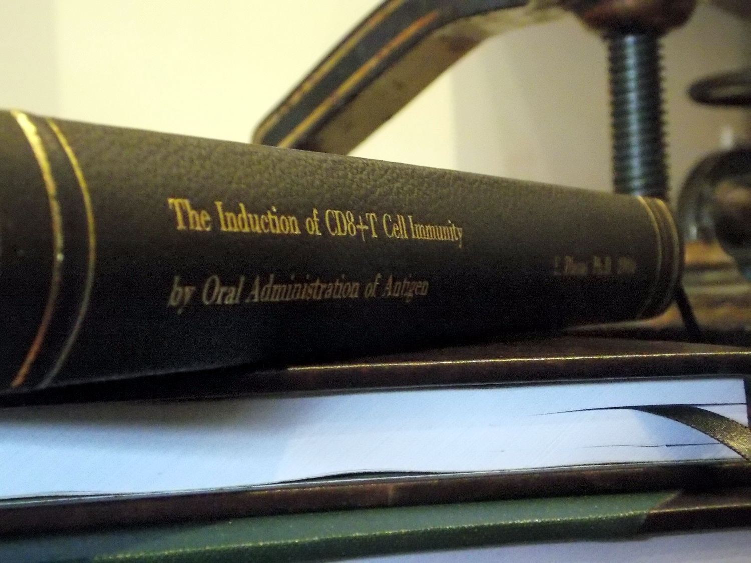 Leather thesis with embossing on spine