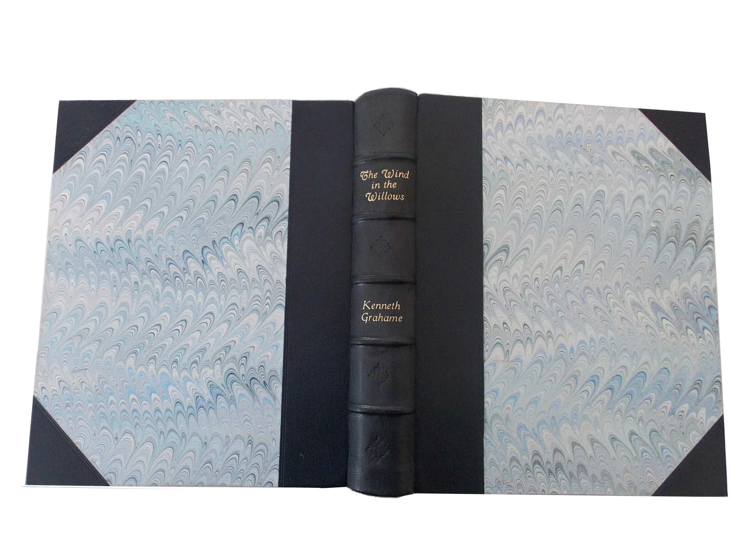 The Wind in the Willows