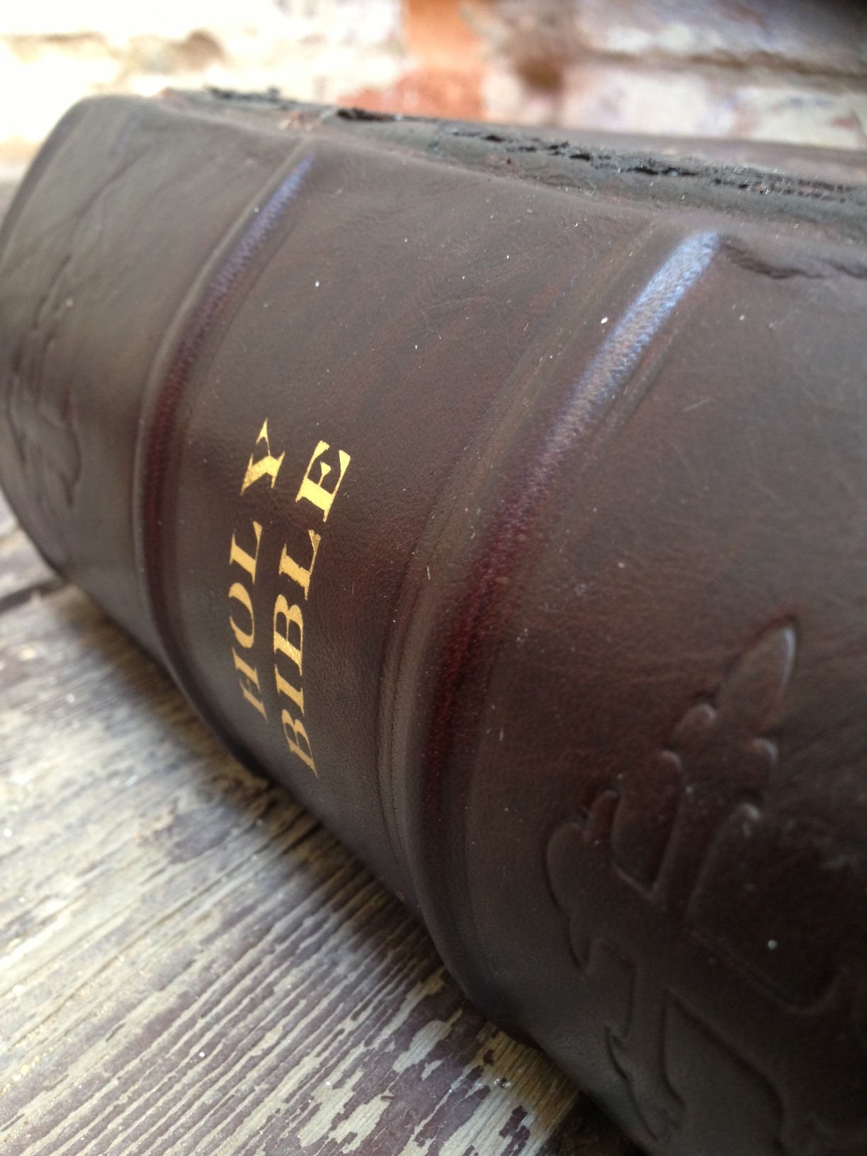New Spine on Bible Restoration
