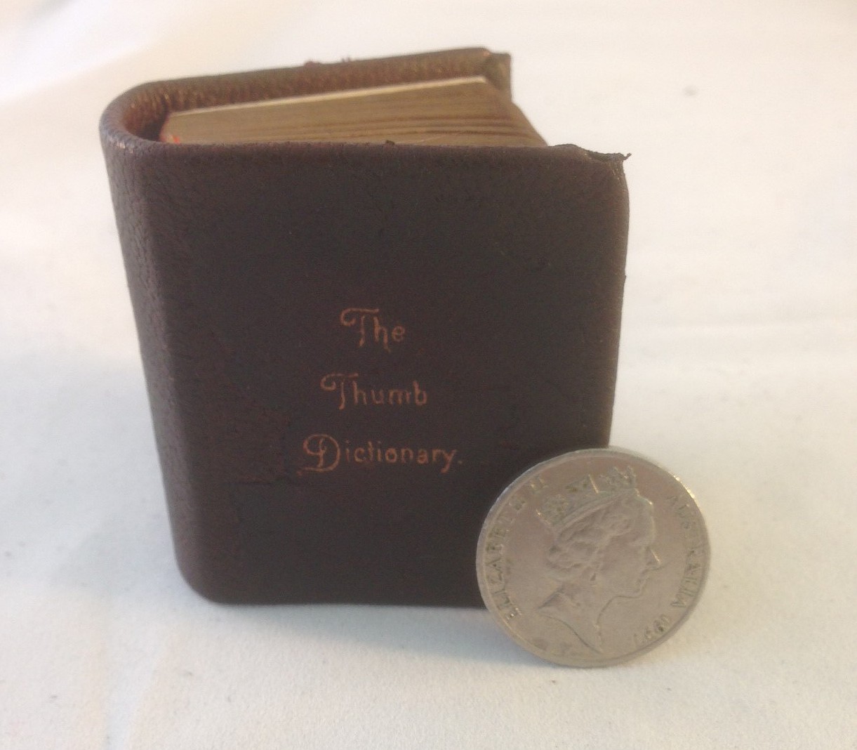 Miniature Dictionary Restoration