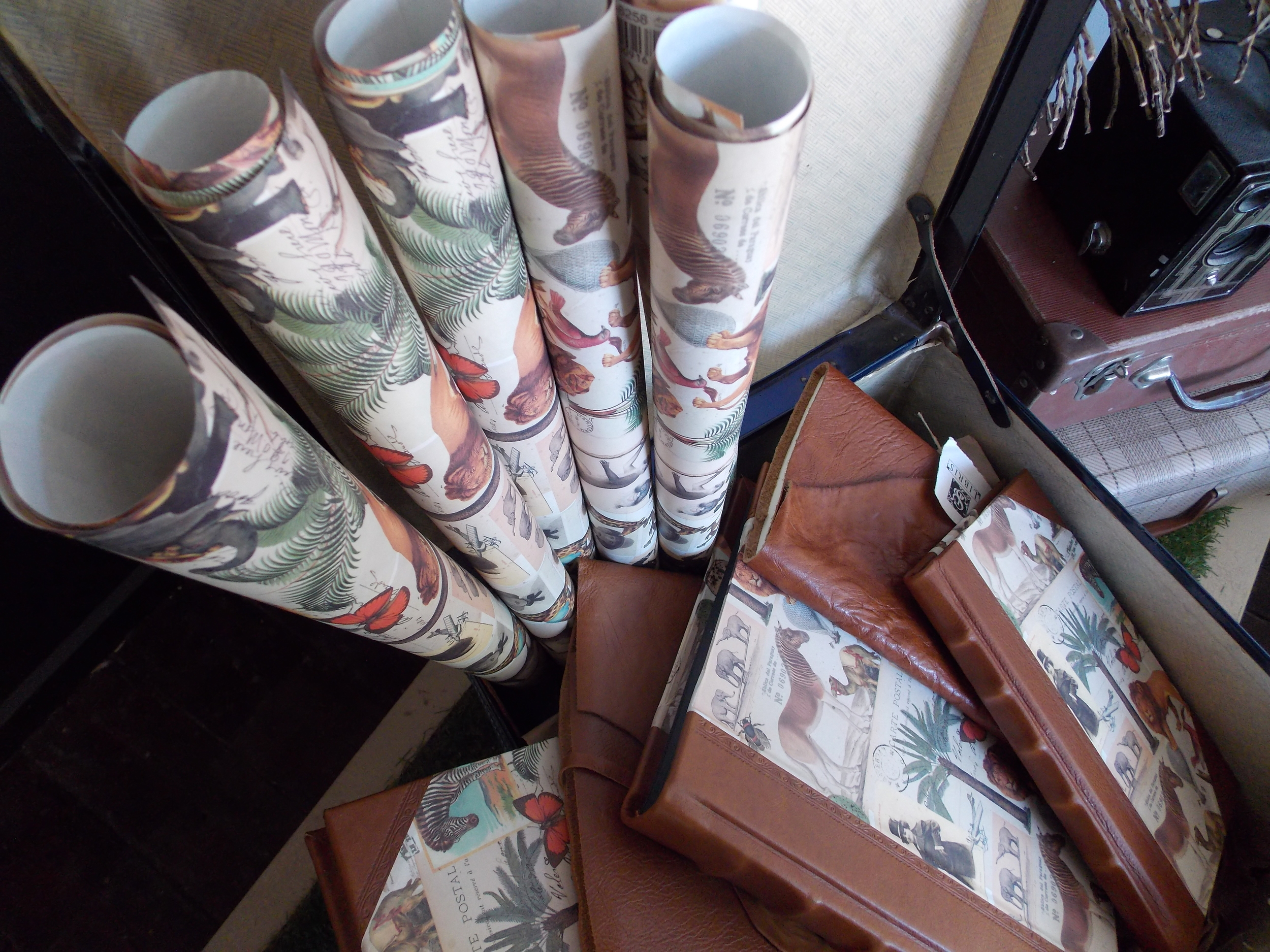 Safari collection - wraps, journals and albums