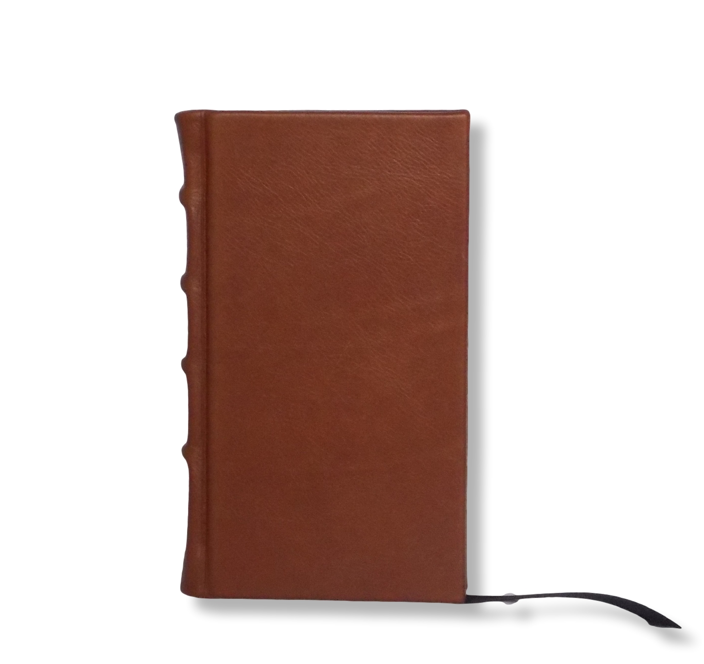 Slimline Leather Journal in Brown