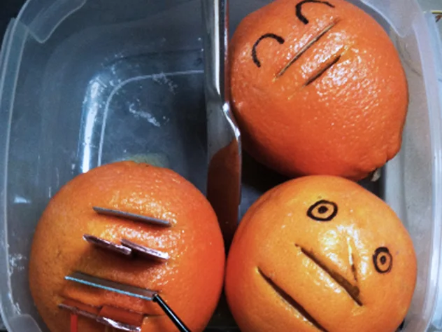 Even the oranges were happy ^ _ ^