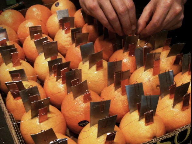 more and more and more oranges