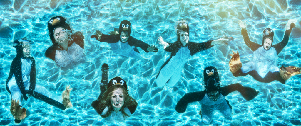 Penguin2web.jpg