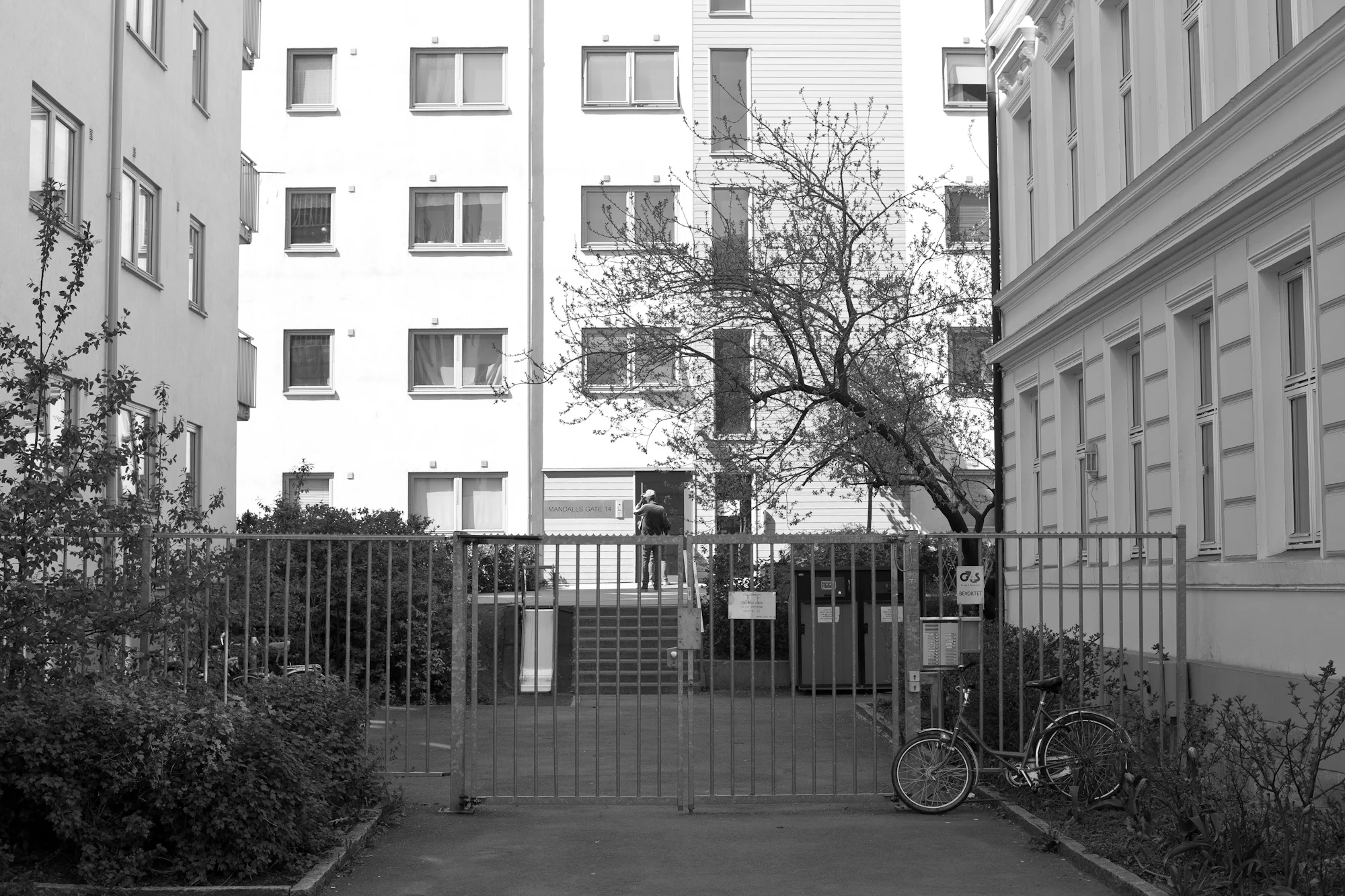Alle foto: Martin Rasch Ersdal