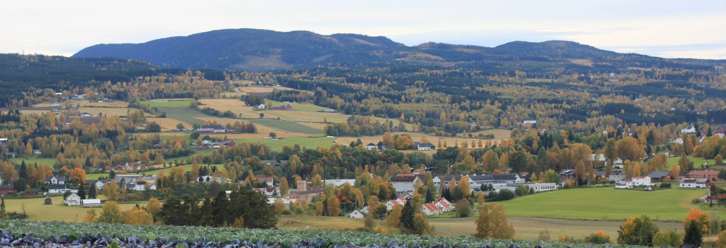 Grenda til skribenten skimtes oppe i høyre hjørne, i forgrunnen Skreia (Foto: Øyvind Holmstad)