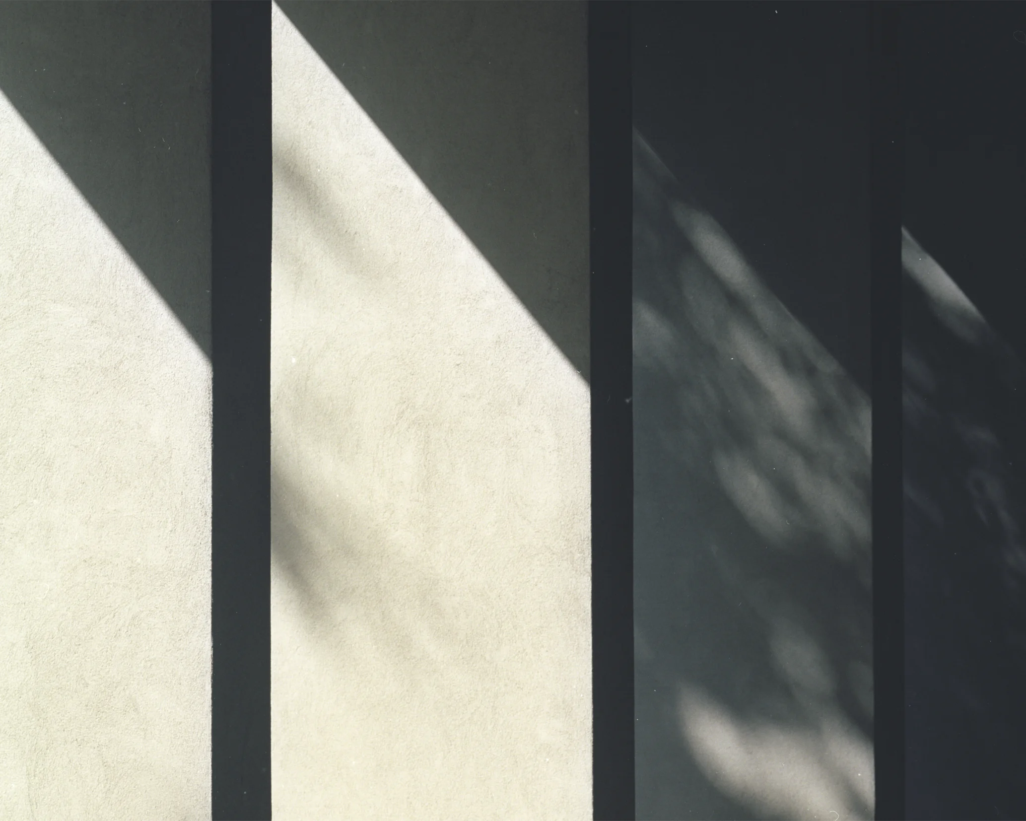 Photo: Andrea Piovesan