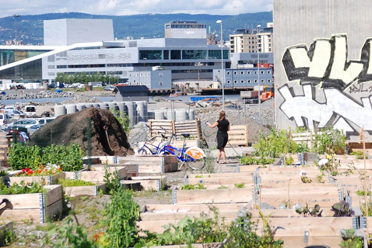 Foto: Christoffer Evju