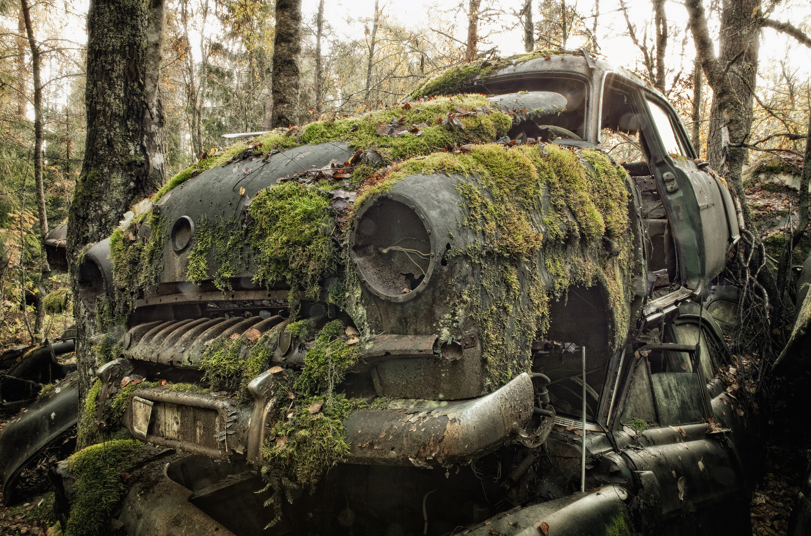 Final Resting Place På Båstnäs bilkirkegård noen mil sør for Töcksfors i Sverige står hundrevis av bilvrak innover i skogen og ruster bort. To brødre startet samlingen etter andre verdenskrig og supplerte blant annet Norge med bildeler.
