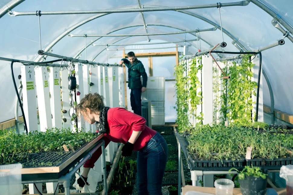 BIOARK Drivhus på taket vil gi frisk salat hele året. Her testes dyrkningsmetoder som gir bærekraftig produksjon på komprimert plass.