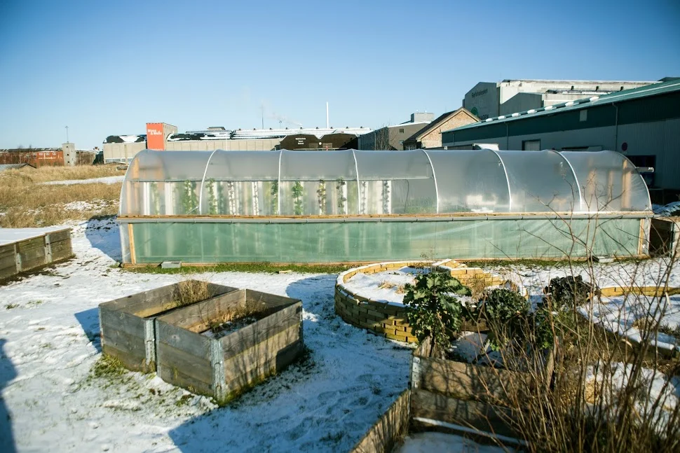 BIOARK. Både drivhus og forskjellige former for plantekasser er ideelle til urban farming, både på tak og byens andre ubenyttede rum. 