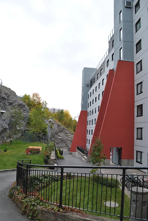 Foto: Ingunn Cecilie Hvidsten