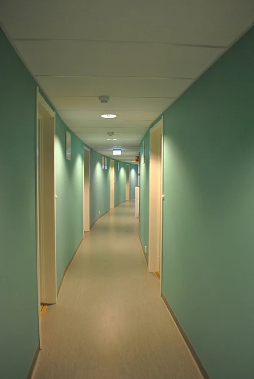 Foto: Ingunn Cecilie Hvidsten