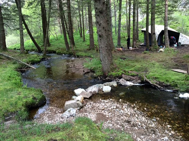 Idyllisk til ved en bekk. Foto: Andrea Ellefsen